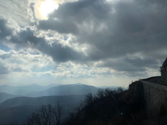 WhatsApp Image 2024-02-03 at 09.58.33